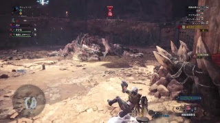 《PS4》ほろ酔いの時間！！コンブの参加型「モンスターハンターワールド」