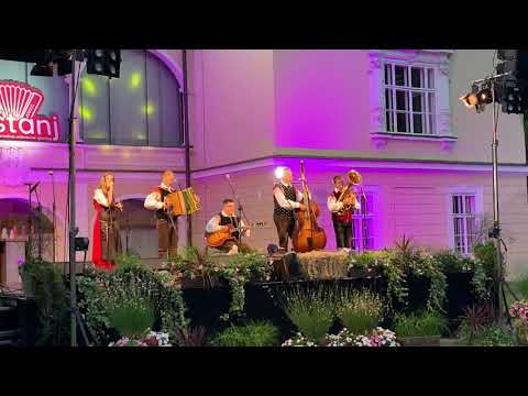 Ansambel TONI - Moja harmonika (ans. Petra Finka)