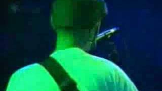 Platero y tu-Marabao