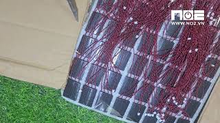 WIFE SAID THE GOOD PIG BECAME A LAMB PIG