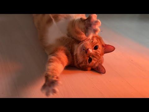 엄마 출근하지마