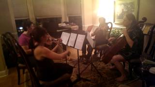 Ash- i'm gonna fall, string quartet arrangement