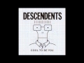 Descendents - Mass Nerder (Traducida al Español)