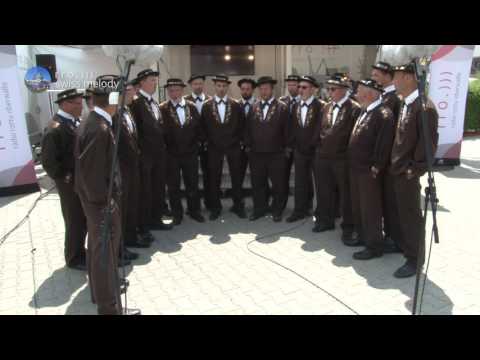 Jodlergruppe Bärgröseli, Alpnachstad - Dr'Gruebeälper - Naturjuitz