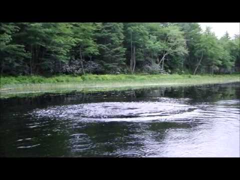 Tully_Movie_Beavers.wmv