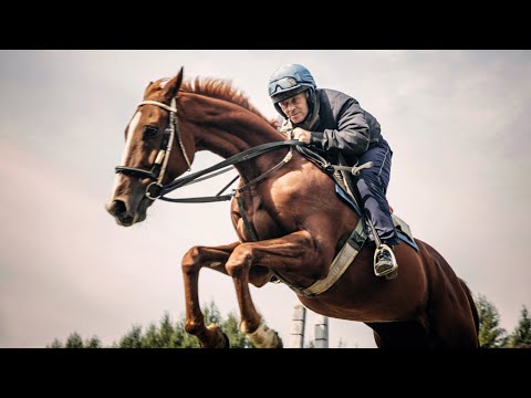 ŽOKEJOVÉ - Cesta na Velkou pardubickou | Oficiální trailer