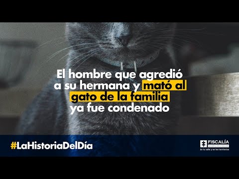 El hombre que agredió a su hermana y mató al gato de la familia ya fue condenado