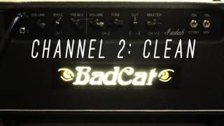 Video thumbnail for Motley Customs BadCat Judah demo by Diamond Productions