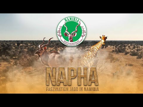NAPHA – Faszination Jagd in Namibia - TEIL 1