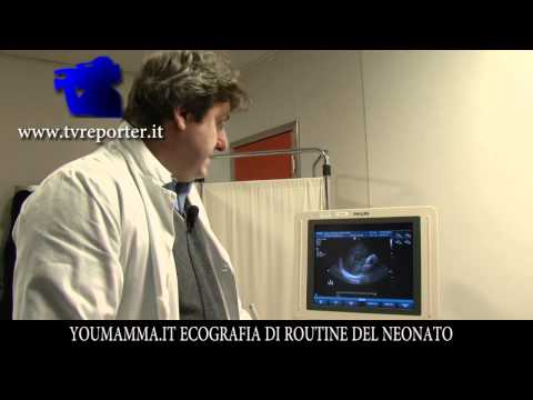 Esercizi con ernia intervertebrale Ginocchio Joint Forum