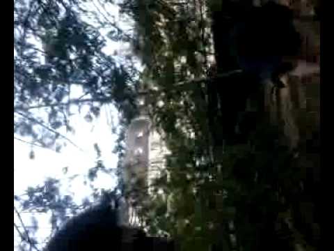 Sunny aus Rheinhausen