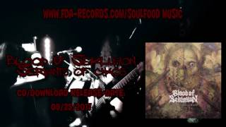 BLOOD OF SEKLUSION - Unconventional Warfare ( OFFICIAL VIDEO )