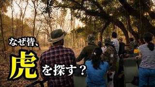 なぜ人は、ここまで虎を探すのか|インド・ランタンボール国立公園