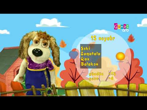 "Hava necə olacaq?" - 15 noyabr 2024-cü il