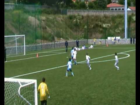 F C PORTO DRAGON FORCE  - grijó