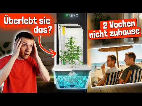 Hydro experiment: 2 weeks vacation & no care – can it work?