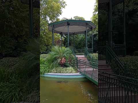 jajaja 🏊🏻🏊🏻😆🤣 #shorts#tigre#shortvideo#glorietta #naturalenergy#buenosaires#argent#ciudad#musica 🇦🇷