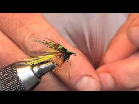 The Sunburst Dabbler