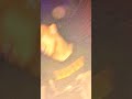 Sisi Stringer Clubbing With Ramiz King MortalKombat