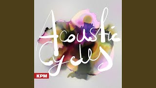 Cover art for cycle to the stars