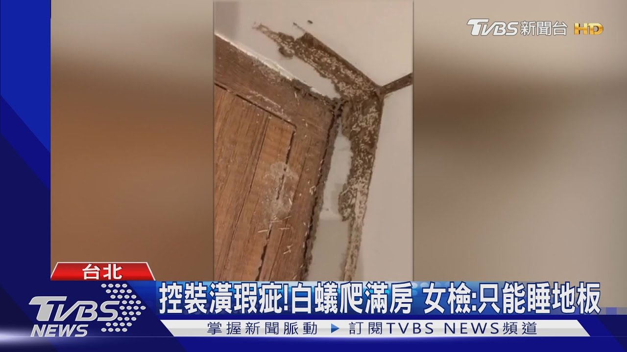 控裝潢瑕疵!白蟻爬滿房 女檢:只能睡地板