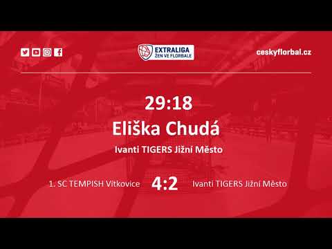 Sestřih zápasu: 1. SC TEMPISH VÍTKOVICE : IVANTI TIGERS JIŽNÍ MĚSTO 11:4