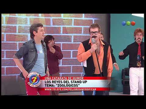 Reyes del stand up: zoológico, llama - Peligro Sin Codificar
