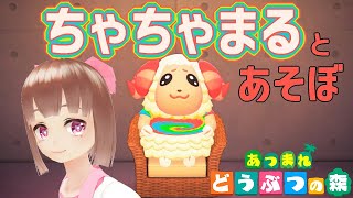 【あつ森】もまあまもの居候せいかつ
