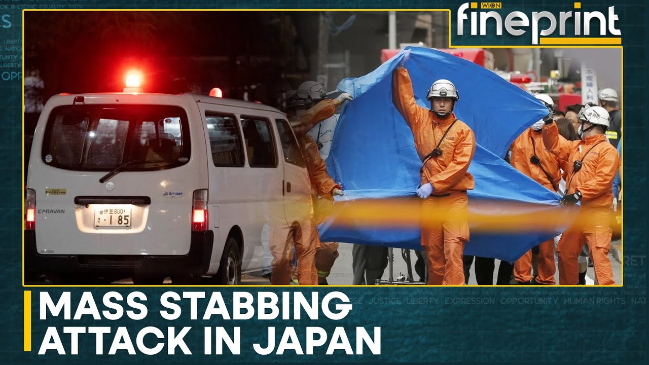 Japan: 15 Injured In Mass Stabbing Attack At Rubber Factory | WION Fineprint