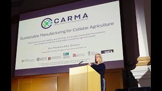 CARMA conference 2025 Professor Marianne Ellis