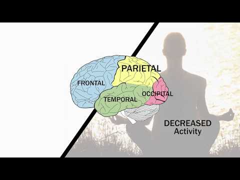 Sarah Lane Ritchie: Brain and Belief: Neuroscience and Religion in Conversation (3/5)