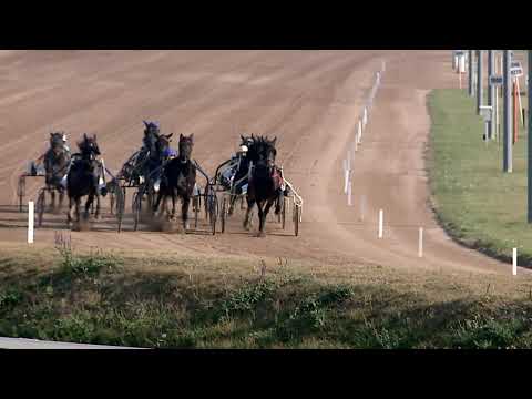 2019.10.26. 02. futam - KIWI HENDIKEP - 2019. ÉVI AMATŐR KUPA X. FUTAMA