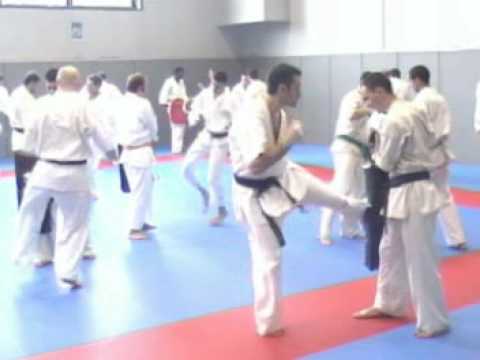 Stage Kumite Alejandro Navarro