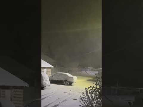 6 апреля 2025 г.