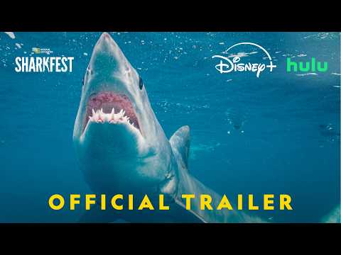 Sharkfest 2026 | Official Promo | Nat Geo Animals