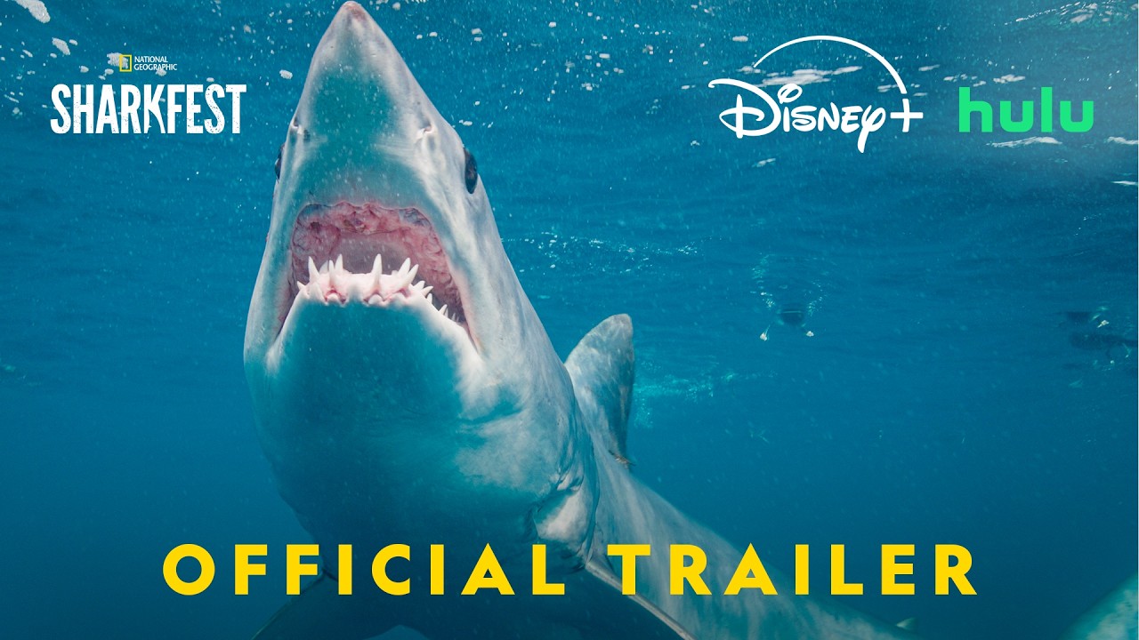 Sharkfest 2026 | Official Promo | Nat Geo Animals