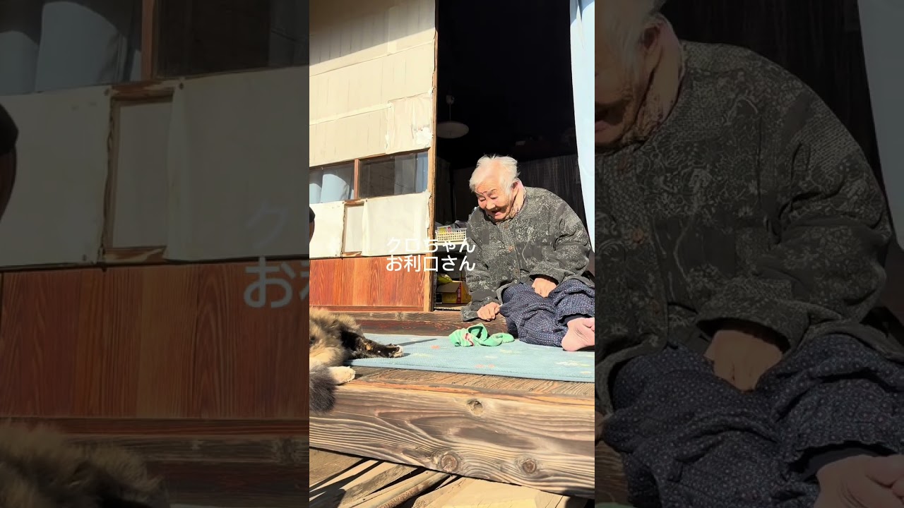 しゅごいしゅごいと褒められたい方へ #おばあちゃんと猫 #shorts