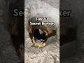 Day 10 digging a secret bunker with a spoon! #day1 #challenge #spoontobunker #spoon