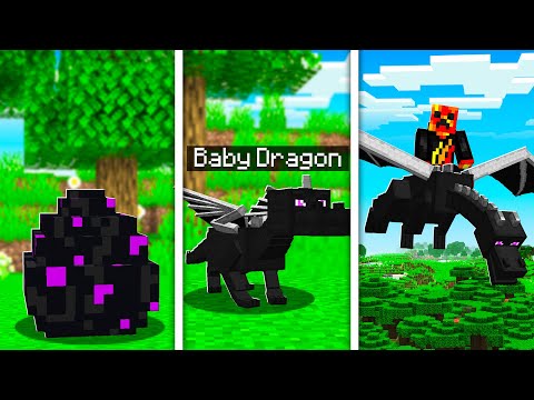 How to Train Your Dragon in MINECRAFT! (Pet Ender Dragon)
