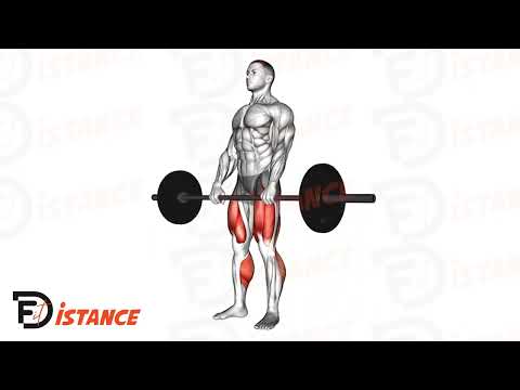 Exercice Soulevé de terre avec pause