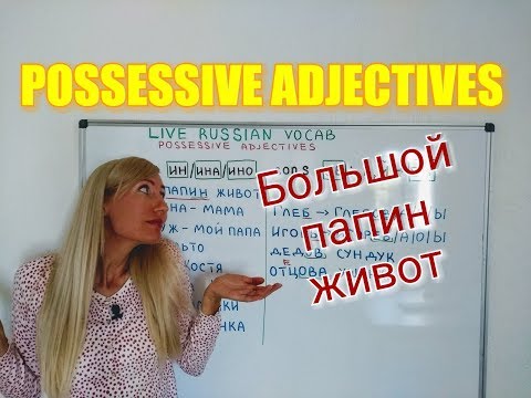 Possessive adjectives