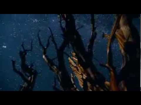 Egorythmia vs Ace Ventura - White Tunnel