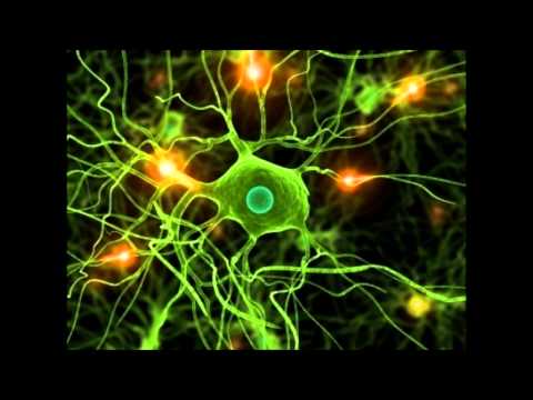 Jiracle - Kopf halt die Fresse