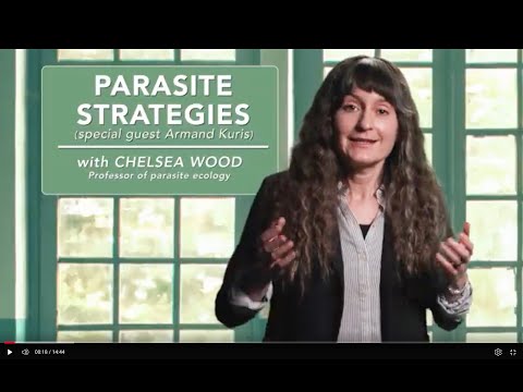 Parasite strategies