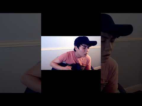 Shelter by Porter Robinson - Guitar/Vocals Cover