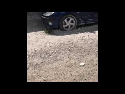 Back to Bairiki 🔥