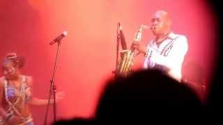 Seun Kuti & Egypt 80 - Black Woman Live @ Mimo Festival in Paraty