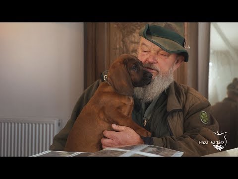 NIMRÓD Percek Zilai Jánossal - 248. - 2019.01.05-i adás