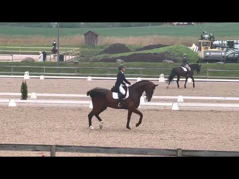 Seger i LB:2 74,33% @SeguisHorses