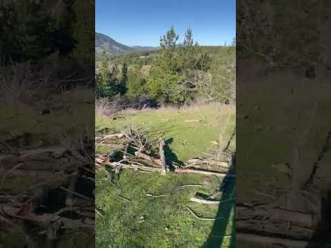 Parcela en condominio Explora park, Curicó, Maule 5.000 MT2